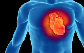 Alimlər ürəyin özünü sağalda biləcəyini göstərən inqilabi kəşf etdilər