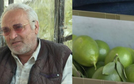 50 qəpiyə limon satır, hesabında milyonu var