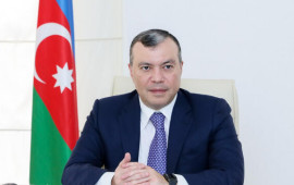 İşsizlər də d&ouml;vlət tərəfindən sığorta olunacaq  Nazir a&ccedil;ıqladı