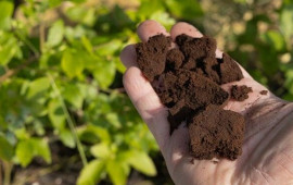 Buna g&ouml;rə qapı və pəncərə &ouml;n&uuml;nə qəhvə &ccedil;&ouml;k&uuml;nt&uuml;s&uuml; səpməlisiniz