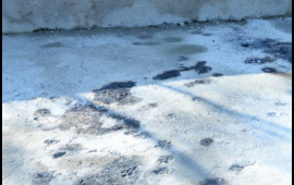 D&ouml;rd ofisiant yanaraq &ouml;l&uuml;bm&uuml;ş  Hadisə yerindən g&ouml;r&uuml;nt&uuml;lər 