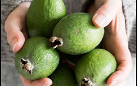 Yodla zəngin feyxoa m&ouml;c&uuml;zəsi  Zobun, prostatın dərmandır