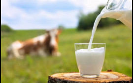 Yağlısı infarkta aparır  Yağsızı min bir dərdə dərmandır