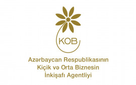 İsveçrədə KOBİAnın təşəbbüsü ilə Bakı İqlim Koalisiyasının təqdimatı keçirilib 