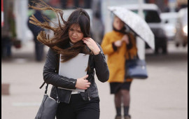 K&uuml;ləklə bağlı sarı və narıncı XƏBƏRDALIQ