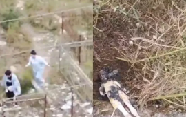 Bakıda qəbirstanlığa cadu basdıran qadınların görüntüləri yayıldı