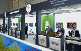 Dövlət dəstəyi ilə 10a yaxın sahibkar “Caspian Agro” və “InterFood Azerbaijan” sərgilərində 