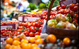 Kənd təsərr&uuml;fatında layihələndirmə normaları yeniləndi