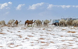 Səudiyyə Ərəbistanında ilk dəfə qar yağdı  30 il sonra