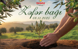 Hacıqabul Quşçuluq Şirkətinin ərazisində Zəfər Bağı salınıb  FOTO